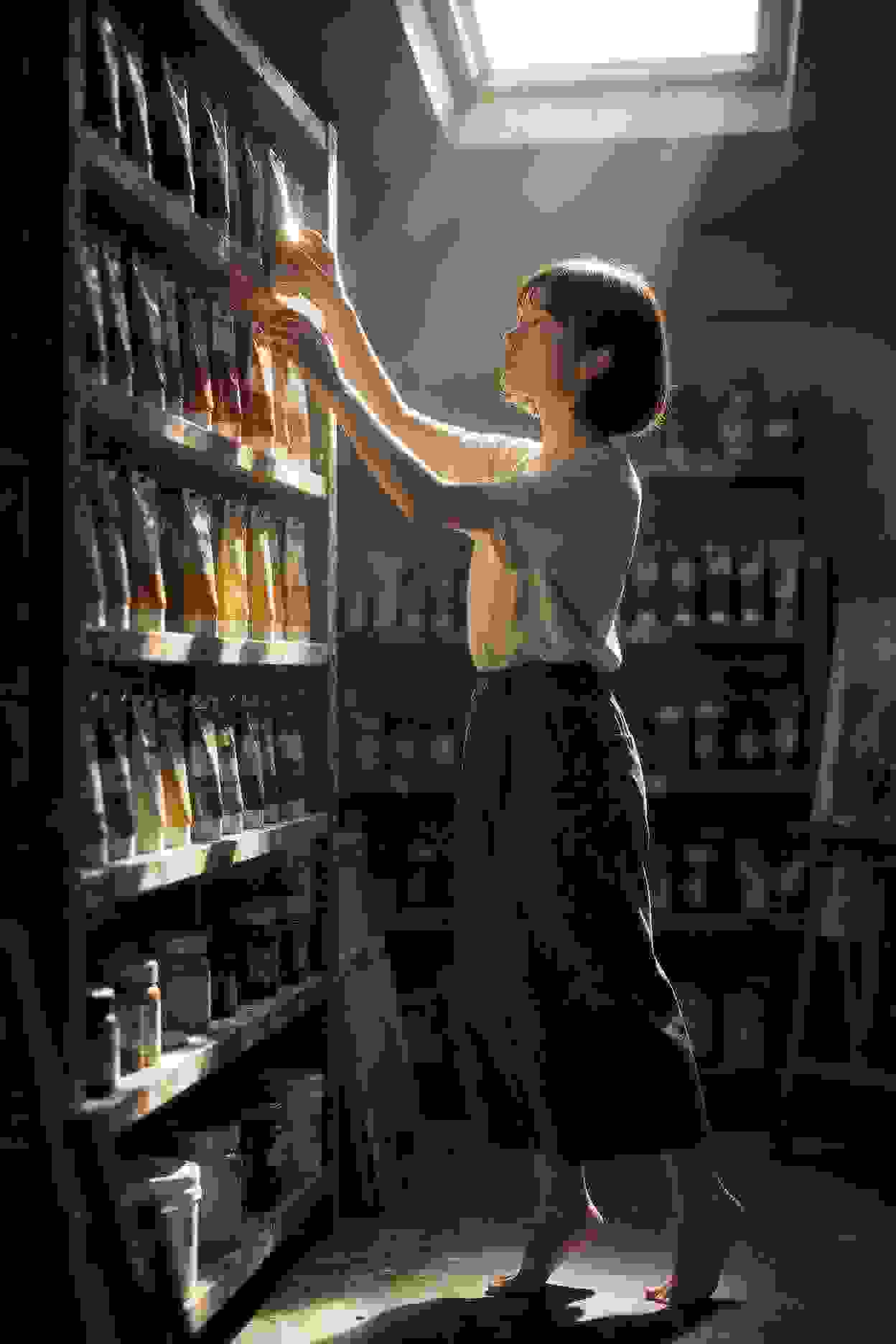 专区5